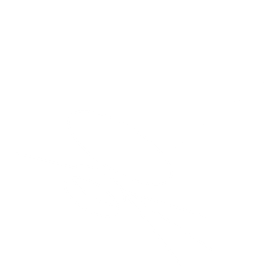 Voyager